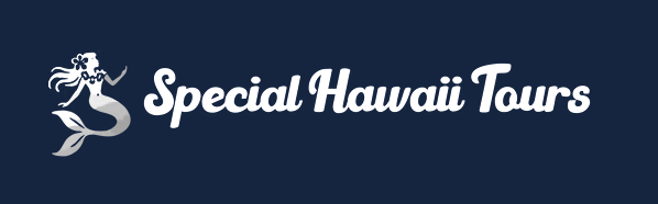 Special Hawaii tour